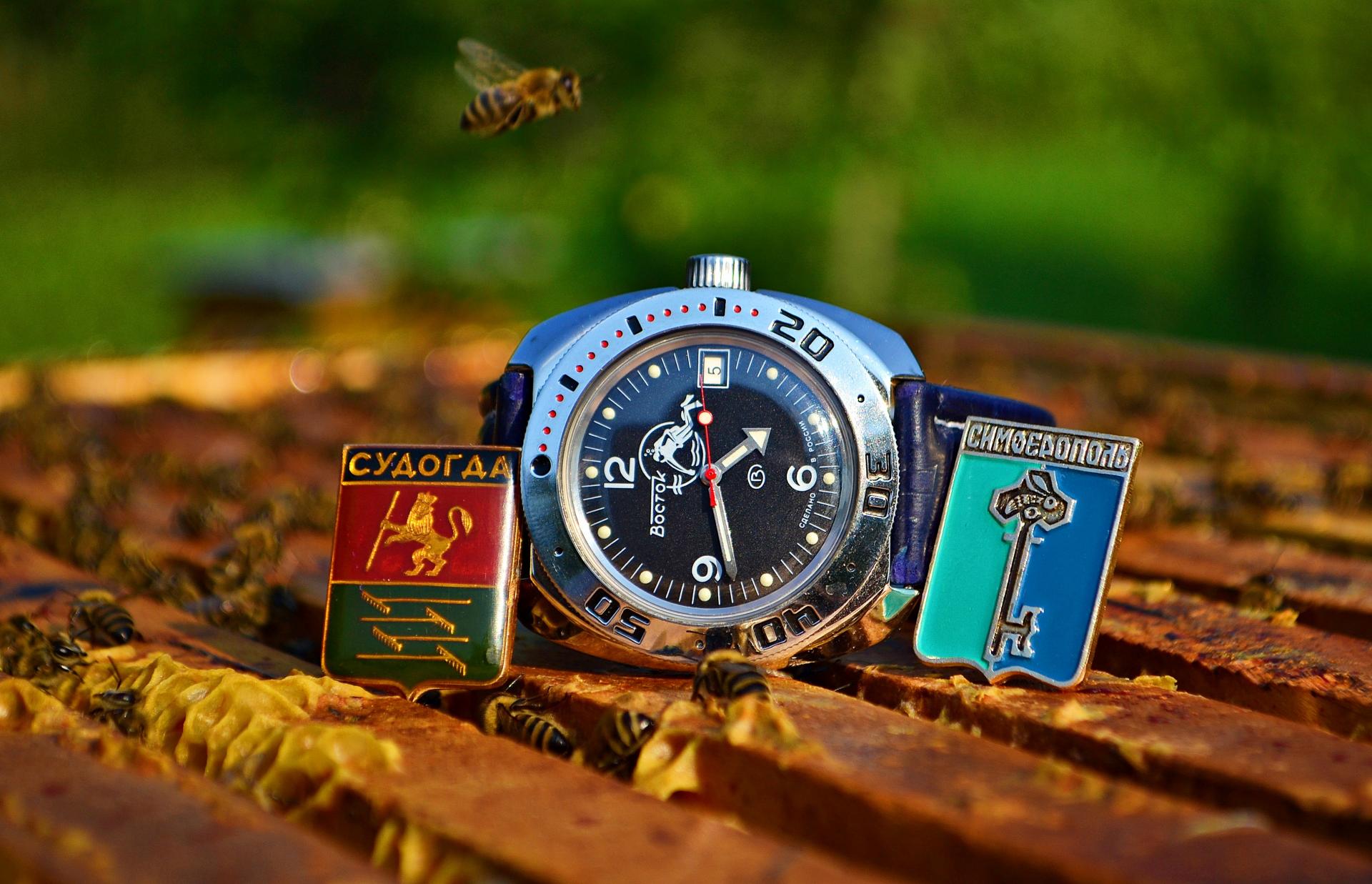 Naziv: DSC_1084 ...,.jpg, pregleda: 423, veličina: 257,9 KB