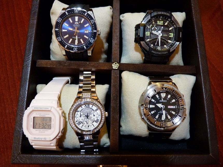 Naziv: P1340835_3.JPG, pregleda: 519, veličina: 240,0 KB