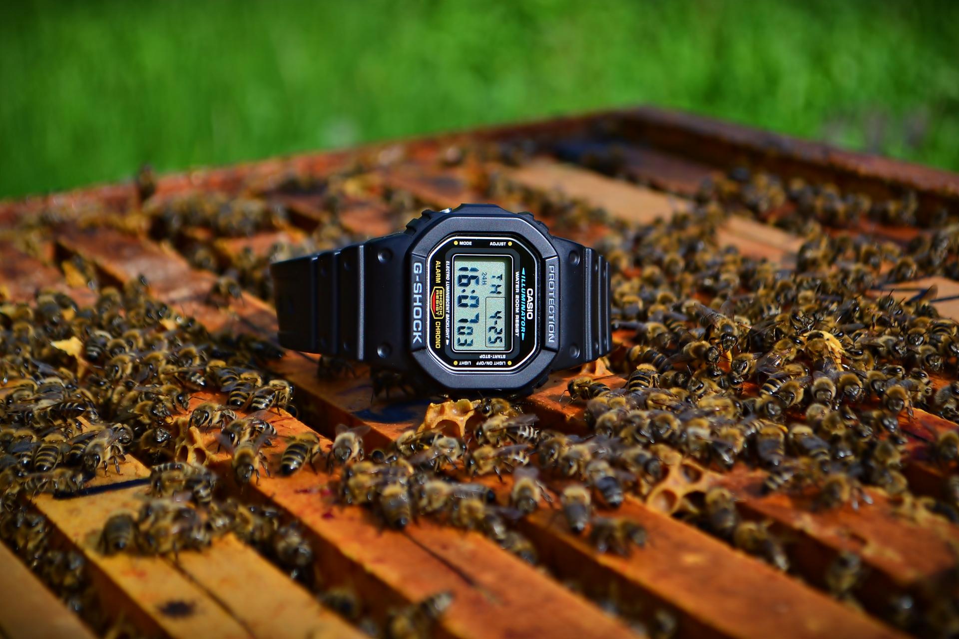 Naziv: DSC_1596 ....jpg, pregleda: 392, veličina: 243,3 KB