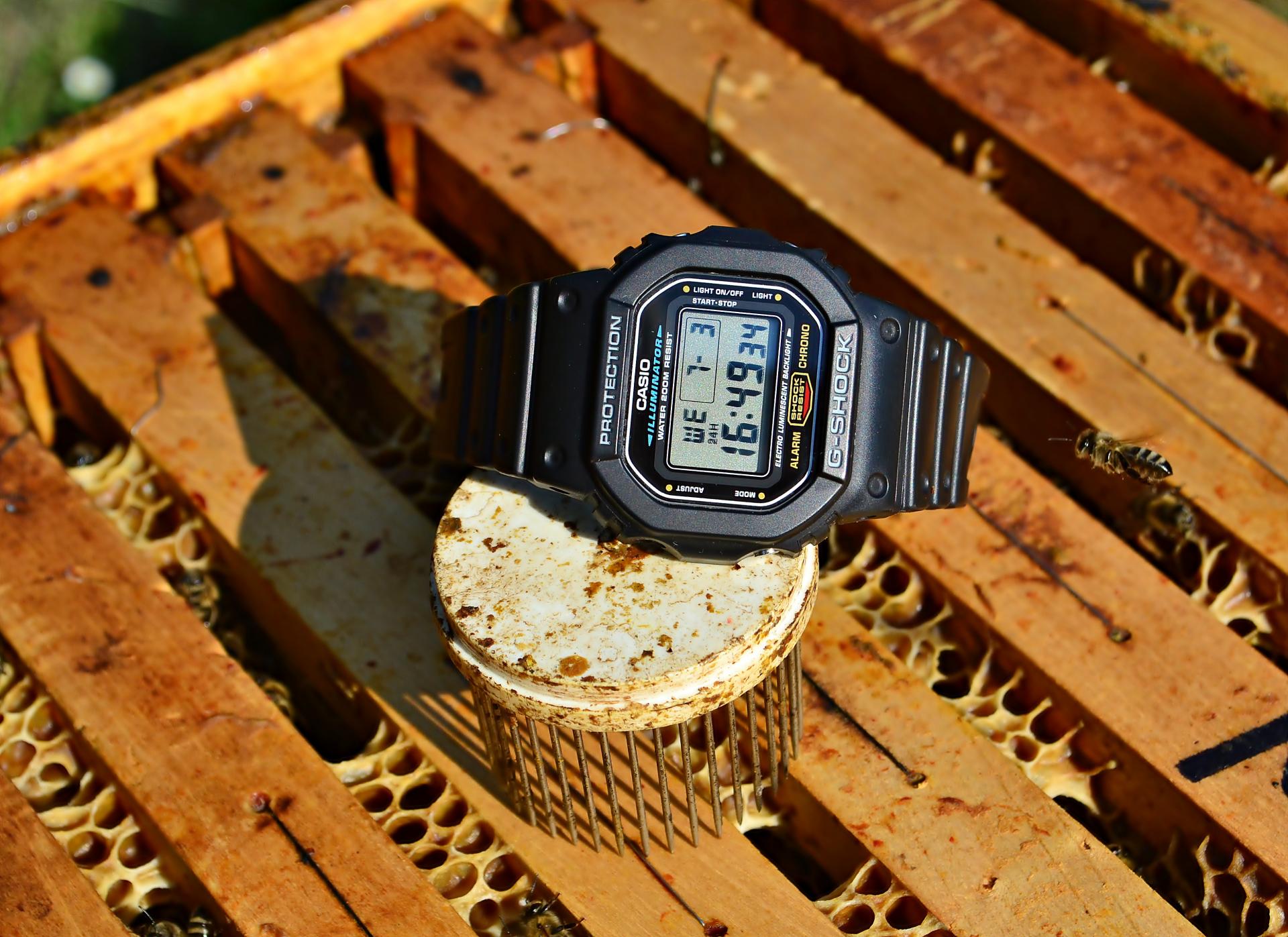 Naziv: DSC_0011 ....jpg, pregleda: 308, veličina: 313,0 KB