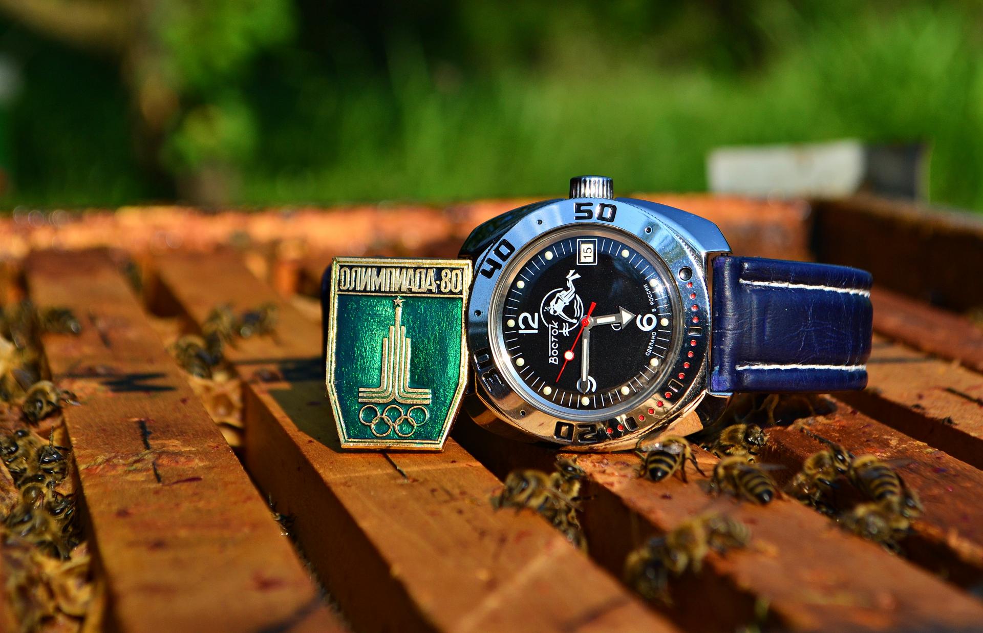 Naziv: DSC_0056 ....jpg, pregleda: 289, veličina: 259,6 KB