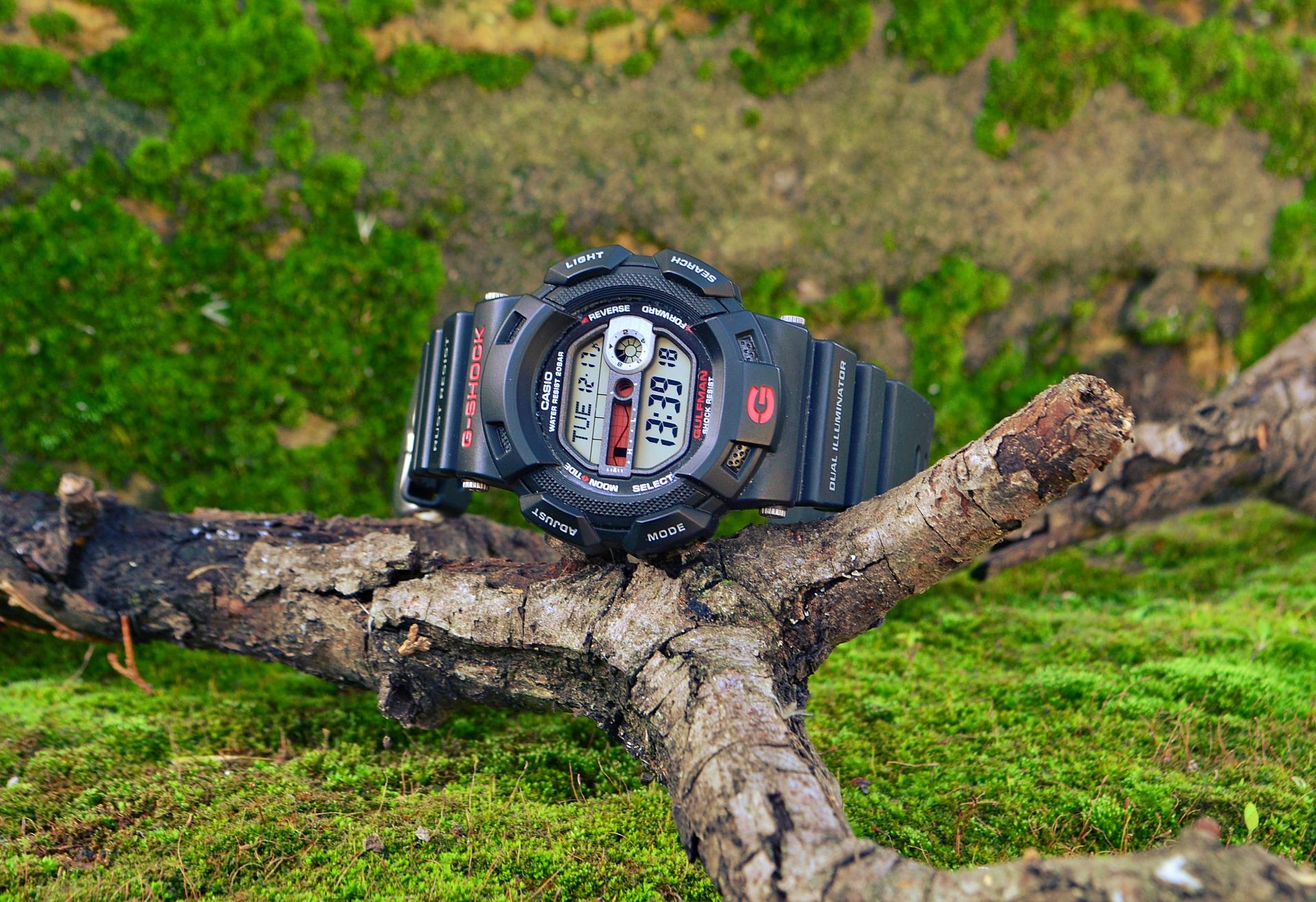 Naziv: DSC_0109 ....jpg, pregleda: 263, veličina: 416,2 KB