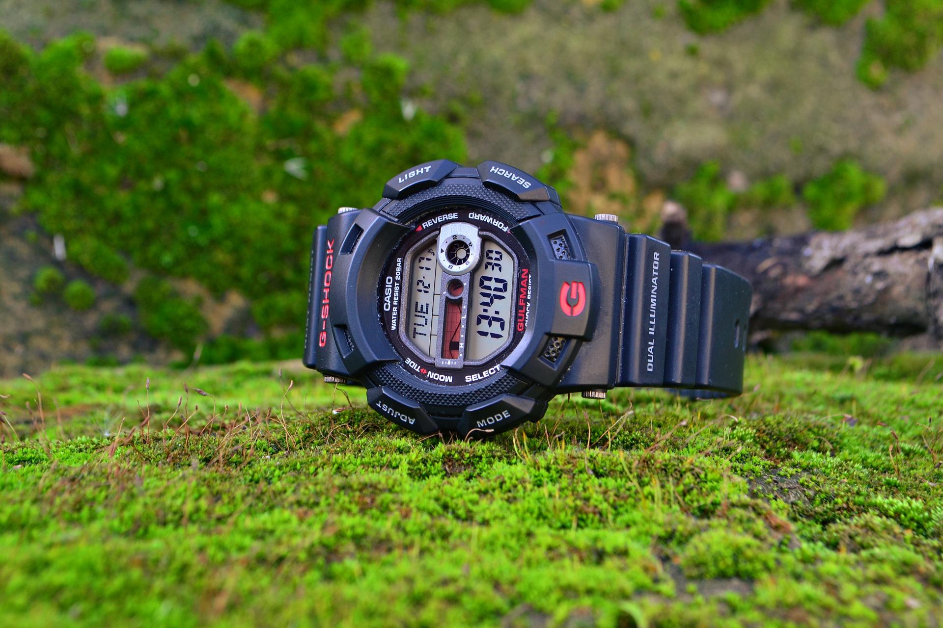 Naziv: DSC_0115 ....jpg, pregleda: 263, veličina: 303,4 KB