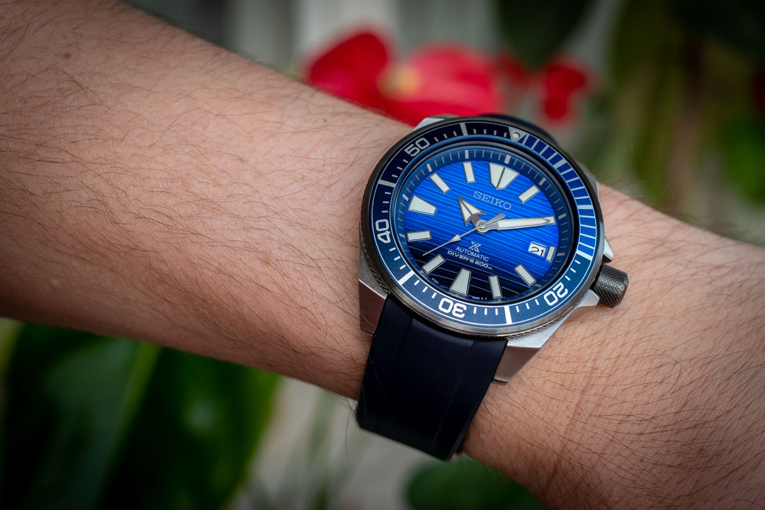 Naziv: SAM_9825.jpg, pregleda: 490, veličina: 174,4 KB