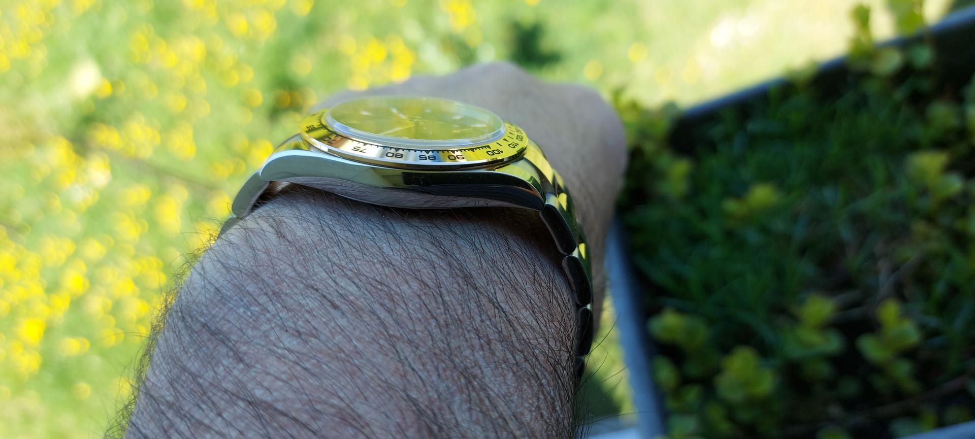 Naziv: 20220417_131709.jpg, pregleda: 427, veličina: 152,4 KB