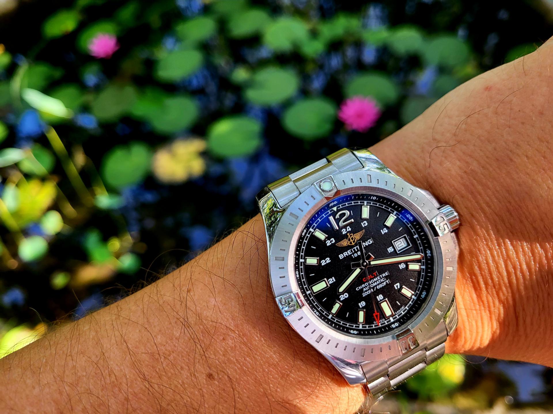 Naziv: 20230821_081830 (2).jpg, pregleda: 166, veličina: 319,2 KB