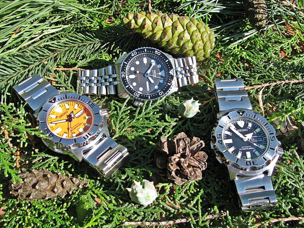 Naziv: IMG_3669 ....jpg, pregleda: 264, veličina: 255,9 KB