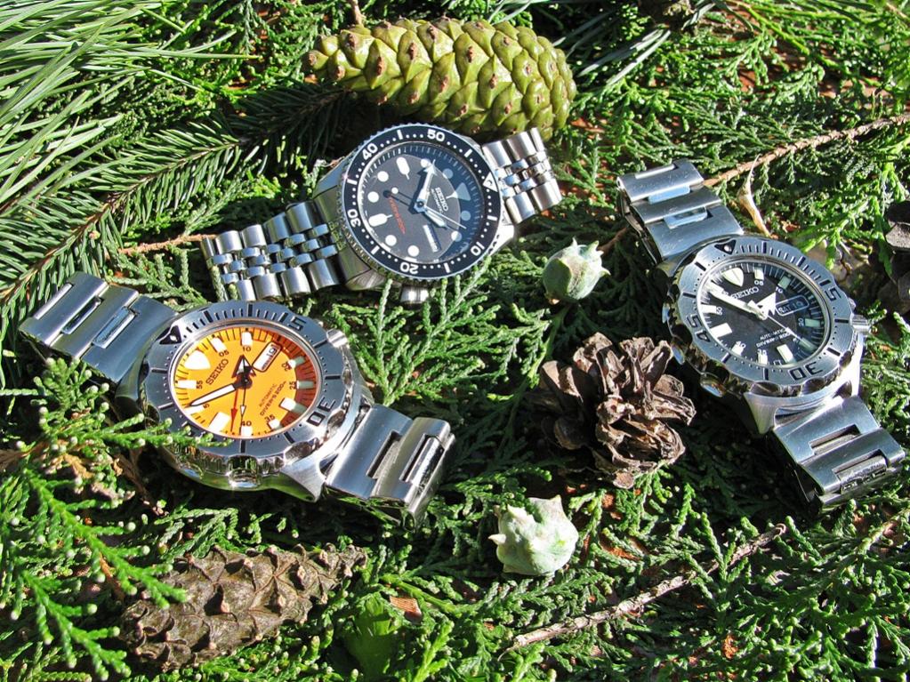 Naziv: IMG_3670 ....jpg, pregleda: 303, veličina: 241,4 KB