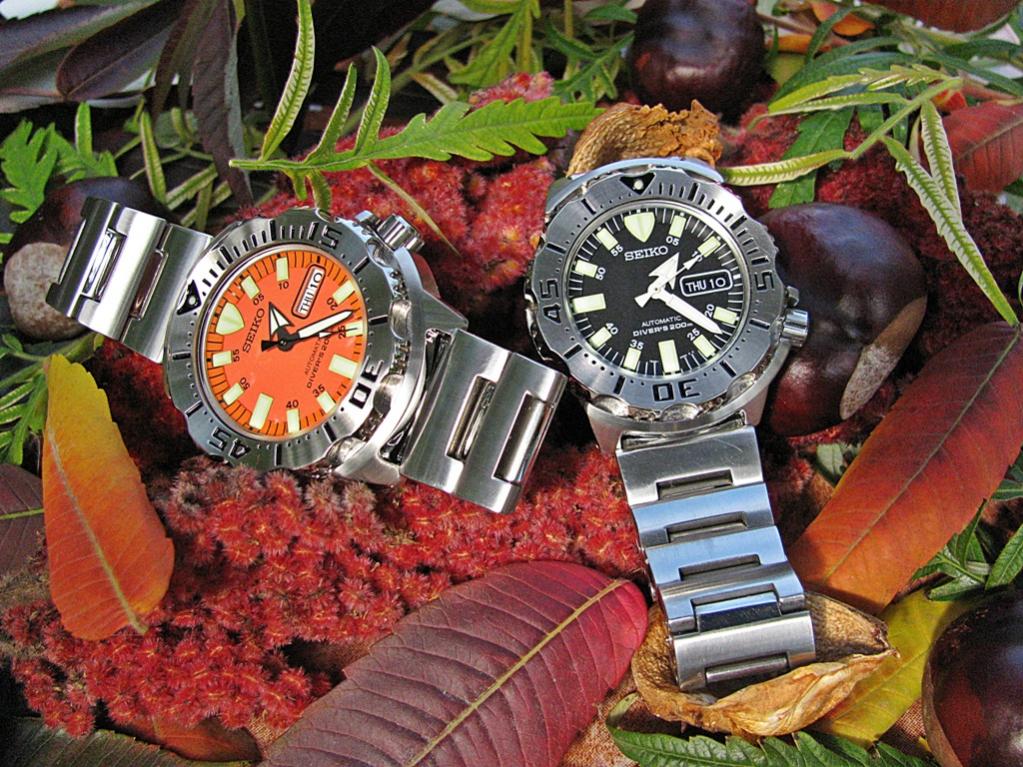 Naziv: IMG_3341 ....jpg, pregleda: 375, veličina: 168,8 KB