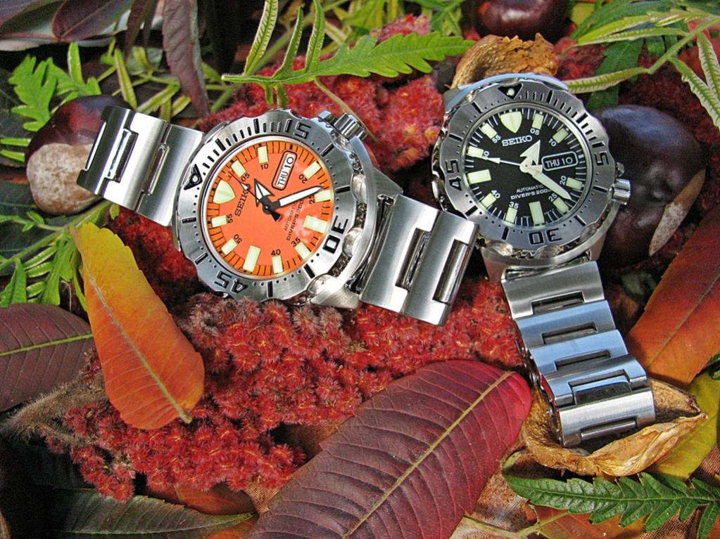 Naziv: IMG_3344 ....jpg, pregleda: 388, veličina: 167,9 KB