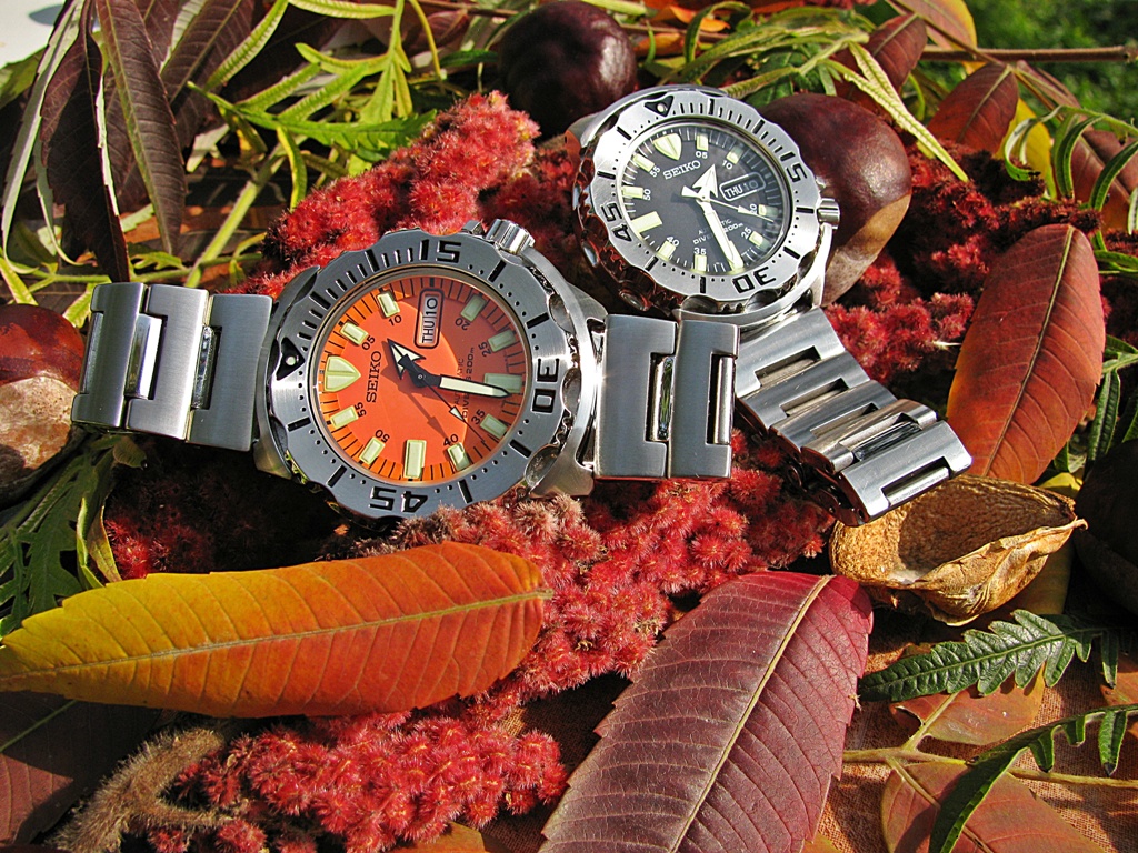 Naziv: IMG_3352 ....jpg, pregleda: 423, veličina: 470,6 KB