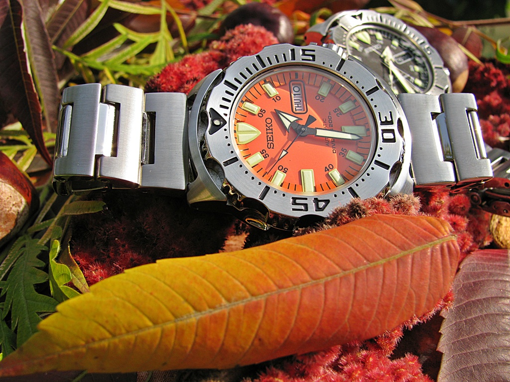 Naziv: IMG_3353 ....jpg, pregleda: 386, veličina: 359,3 KB