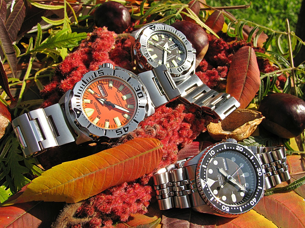 Naziv: IMG_3360 ....jpg, pregleda: 389, veličina: 475,5 KB