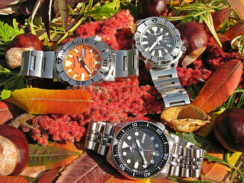 Naziv: IMG_3363 ....jpg, pregleda: 377, veličina: 191,1 KB