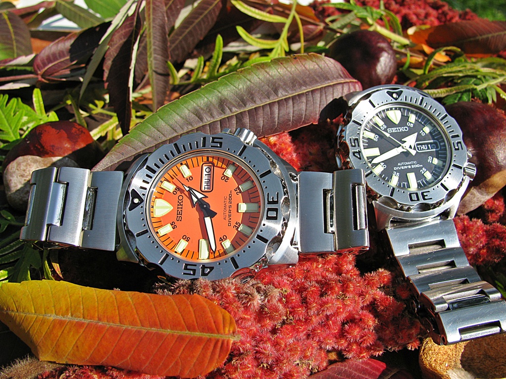 Naziv: IMG_3370 ....jpg, pregleda: 404, veličina: 444,5 KB