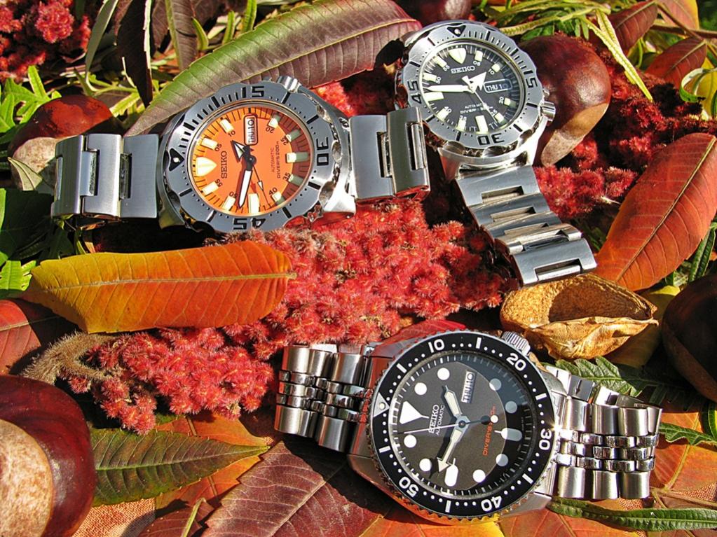 Naziv: IMG_3381 ....jpg, pregleda: 413, veličina: 187,8 KB