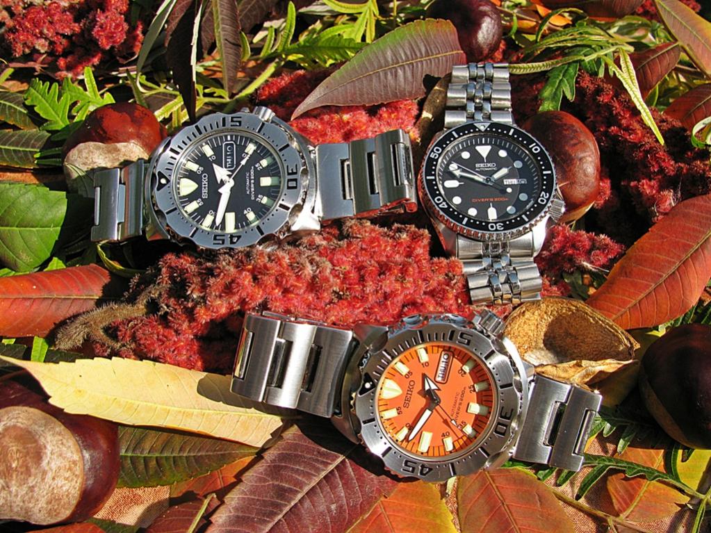 Naziv: IMG_3382 ....jpg, pregleda: 399, veličina: 189,0 KB