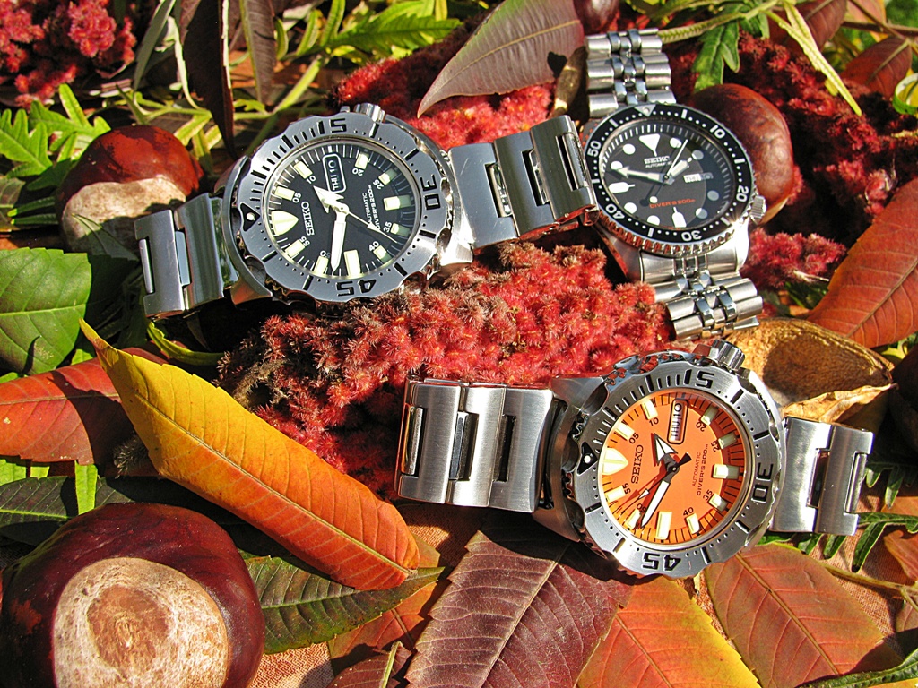 Naziv: IMG_3383 ....jpg, pregleda: 405, veličina: 485,3 KB