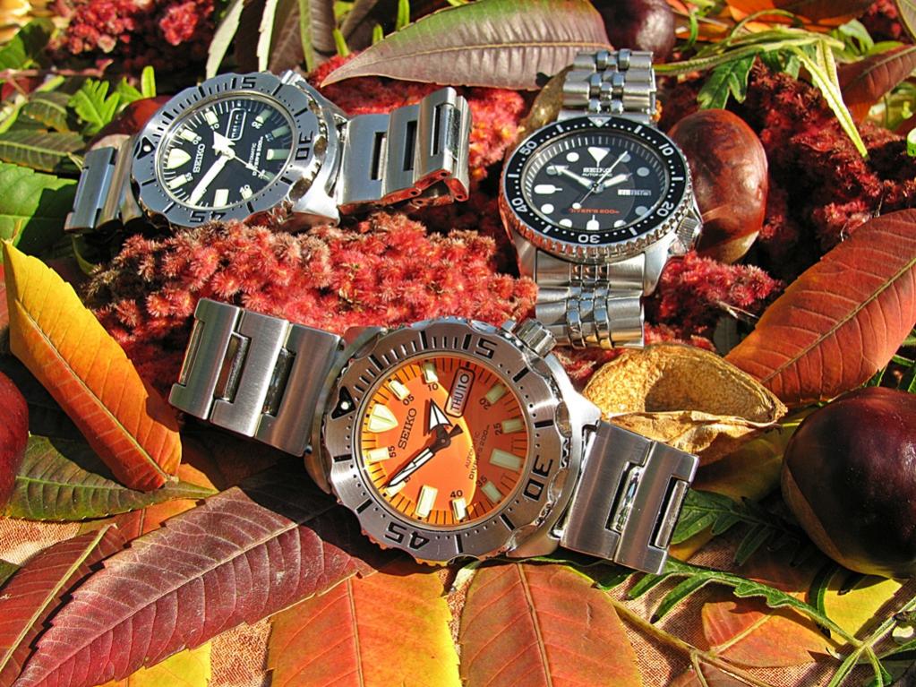 Naziv: IMG_3389 ....jpg, pregleda: 393, veličina: 180,7 KB