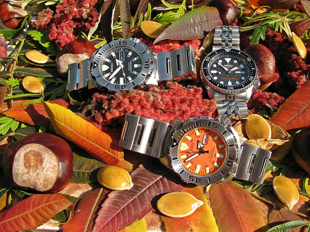 Naziv: IMG_3392 ....jpg, pregleda: 389, veličina: 187,3 KB