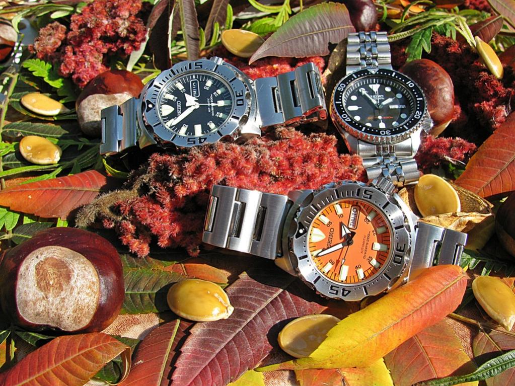 Naziv: IMG_3401 ....jpg, pregleda: 389, veličina: 183,7 KB