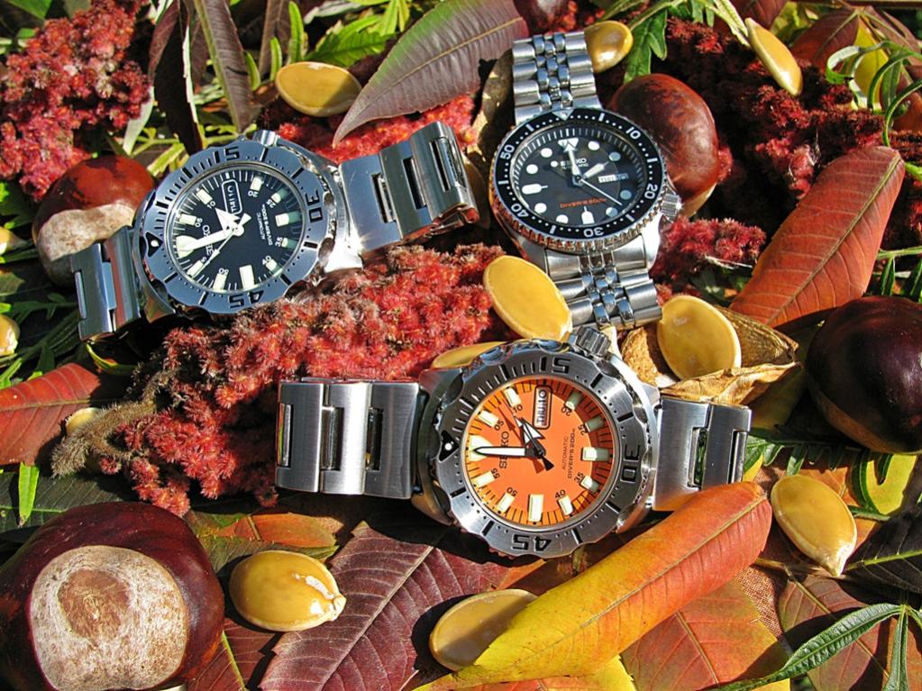 Naziv: IMG_3410 ....jpg, pregleda: 418, veličina: 180,1 KB