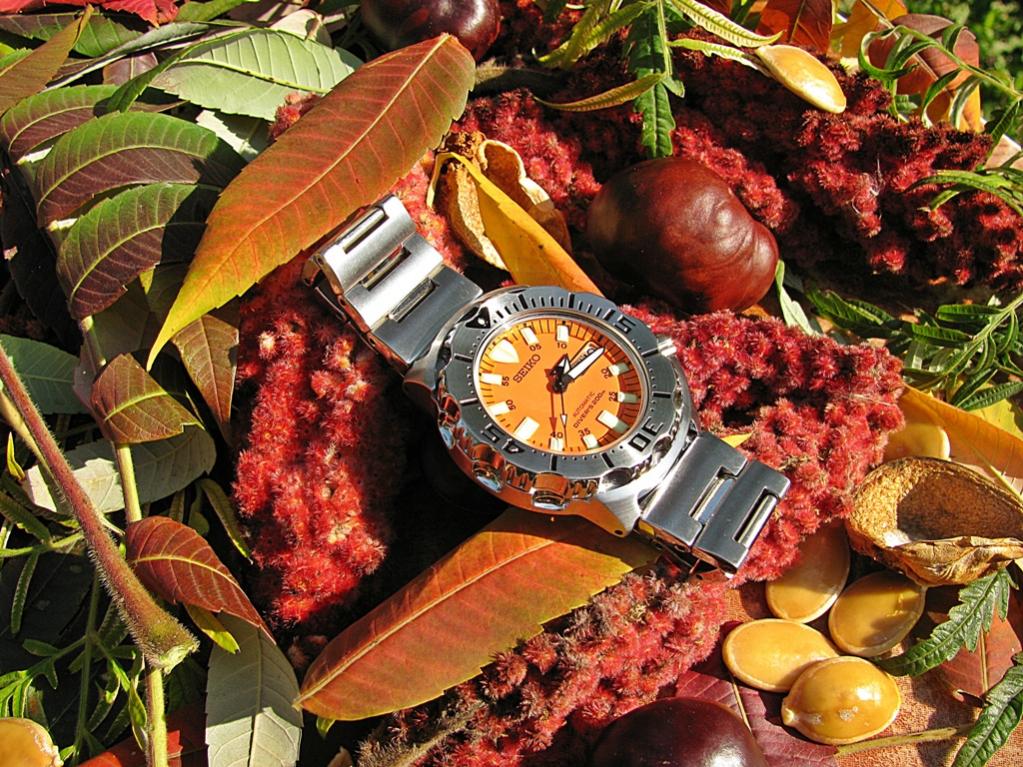 Naziv: IMG_3426 ....jpg, pregleda: 348, veličina: 183,3 KB