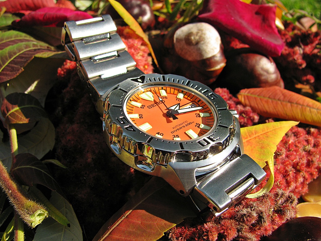 Naziv: IMG_3429 ....jpg, pregleda: 369, veličina: 361,0 KB