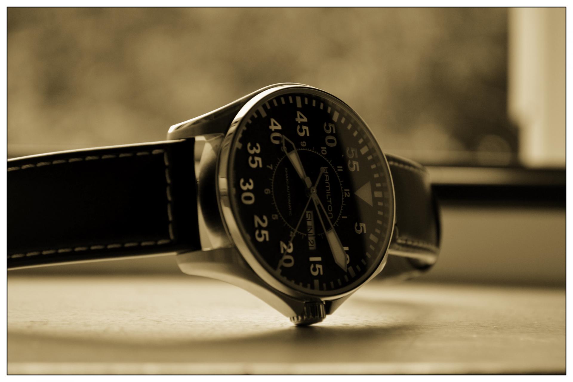 Naziv: Hamilton1.jpg, pregleda: 407, veličina: 141,5 KB