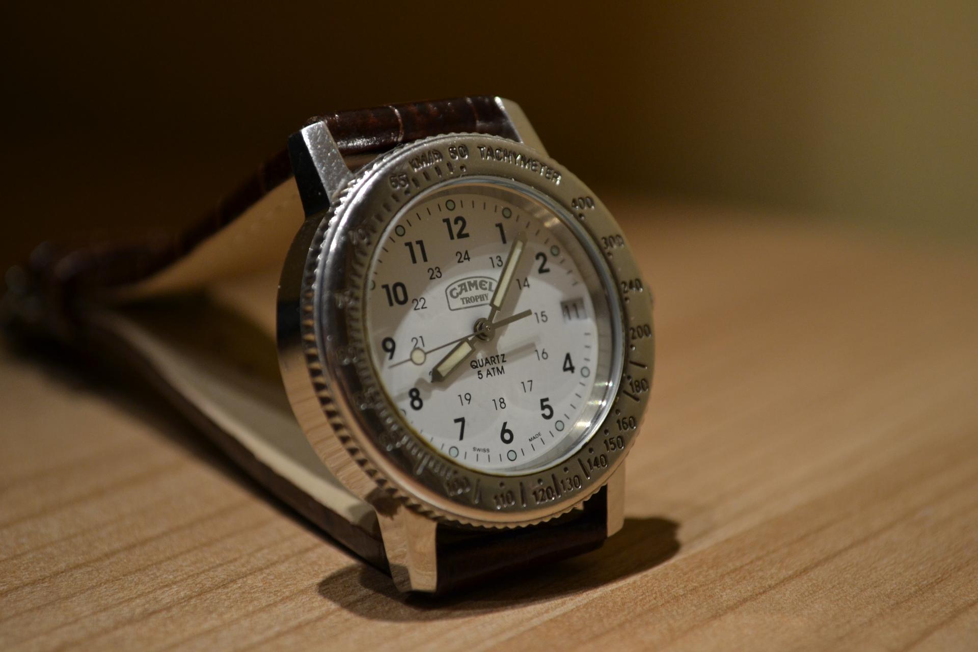 Naziv: DSC_0124.jpg, pregleda: 219, veličina: 144,7 KB