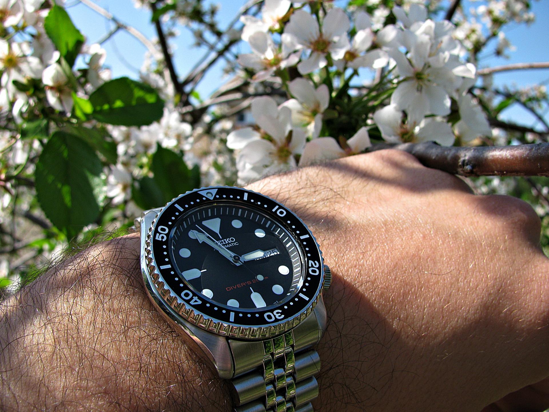 Naziv: IMG_1123 ....jpg, pregleda: 277, veličina: 413,5 KB