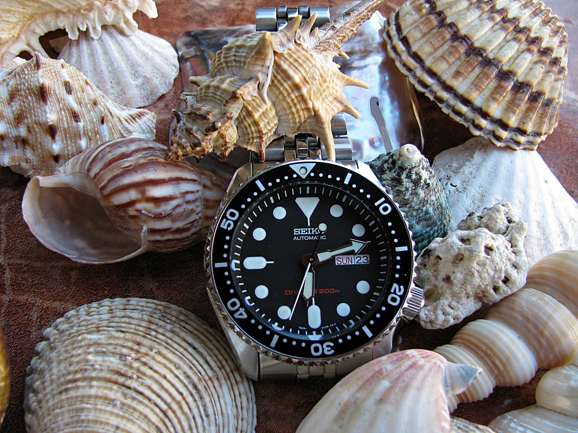 Naziv: IMG_1758 ....jpg, pregleda: 218, veličina: 462,0 KB