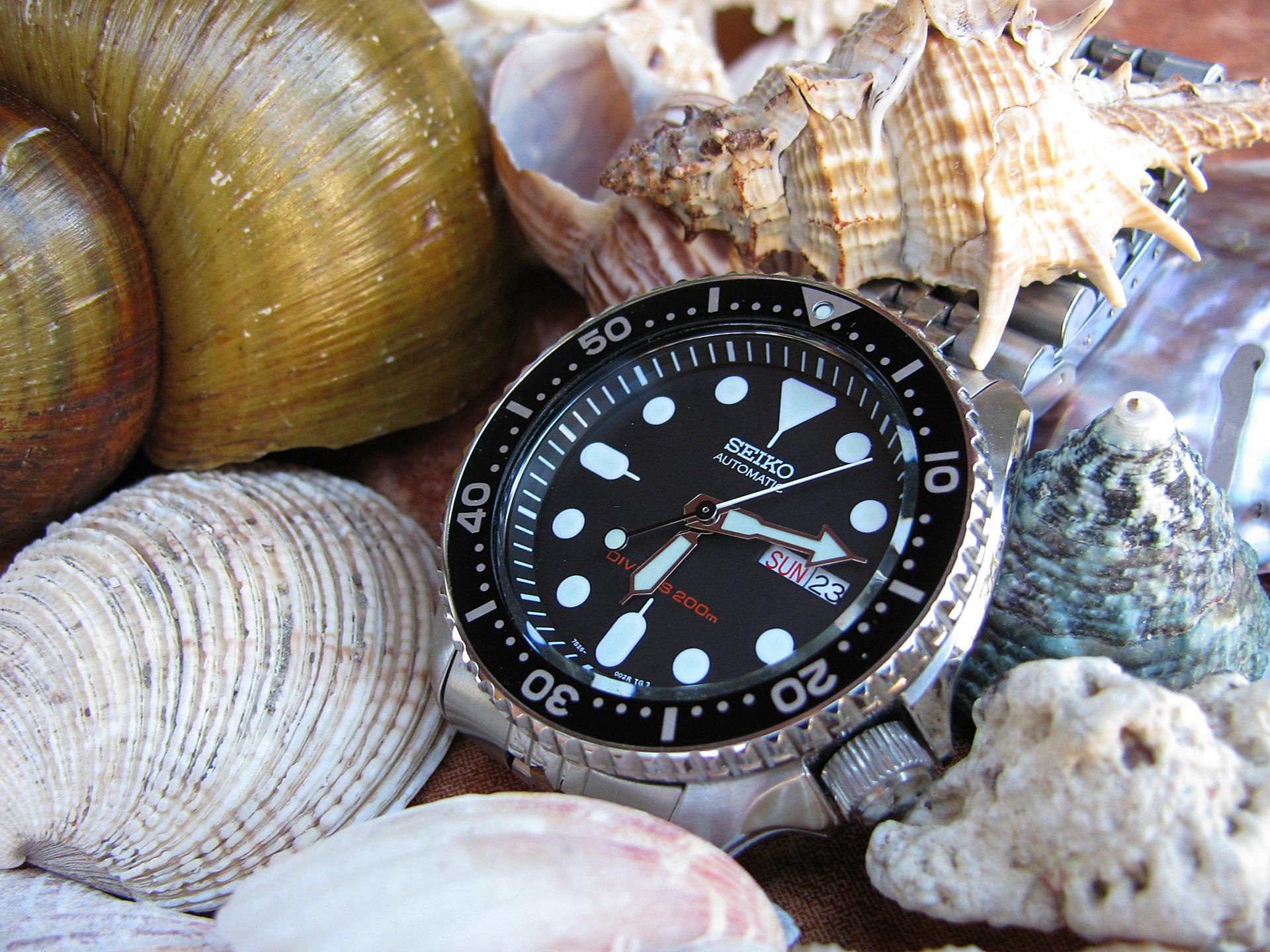 Naziv: IMG_1761 ....jpg, pregleda: 210, veličina: 393,1 KB