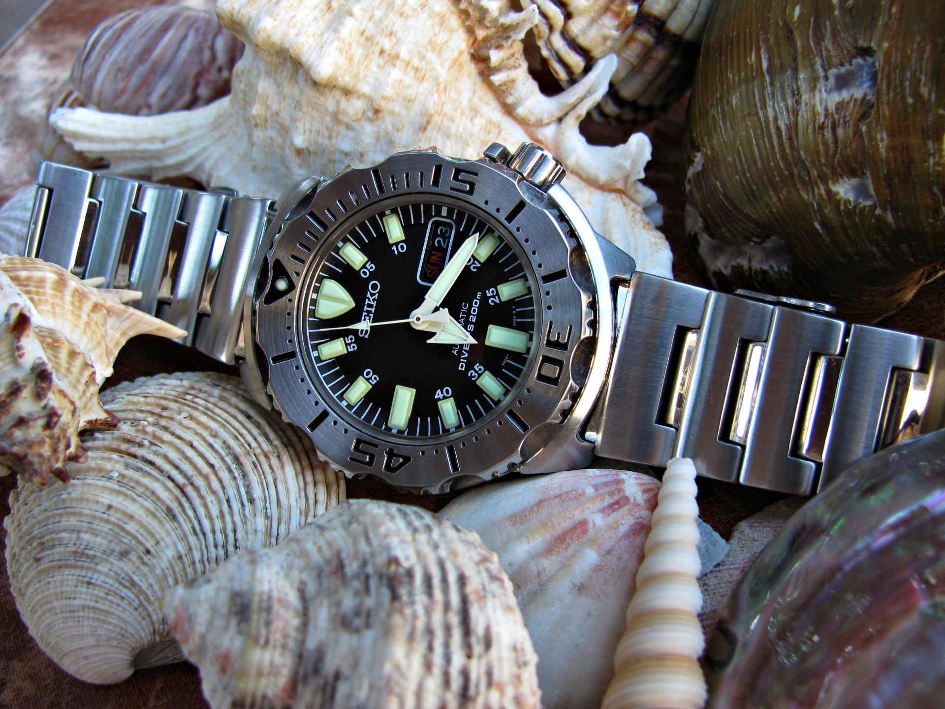 Naziv: IMG_1764 ....jpg, pregleda: 257, veličina: 376,8 KB