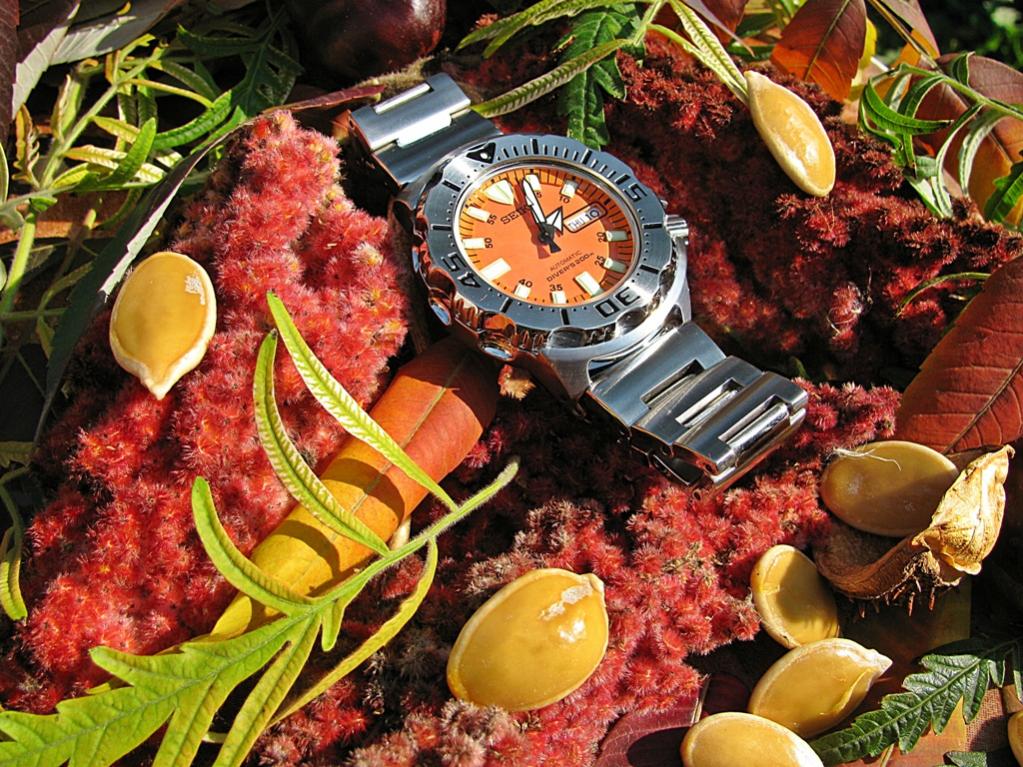 Naziv: IMG_3414 ...jpg, pregleda: 237, veličina: 180,3 KB