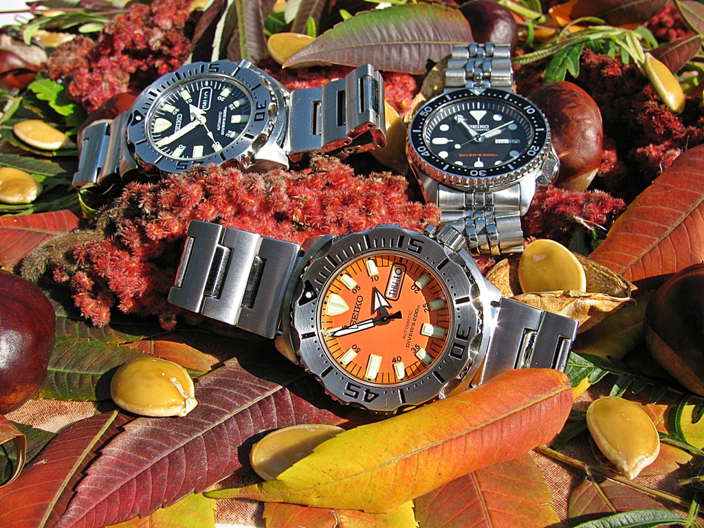 Naziv: 78247d1383864761-skydrummer-moja-kolekcija-img_3402-....jpg, pregleda: 337, veličina: 480,3 KB