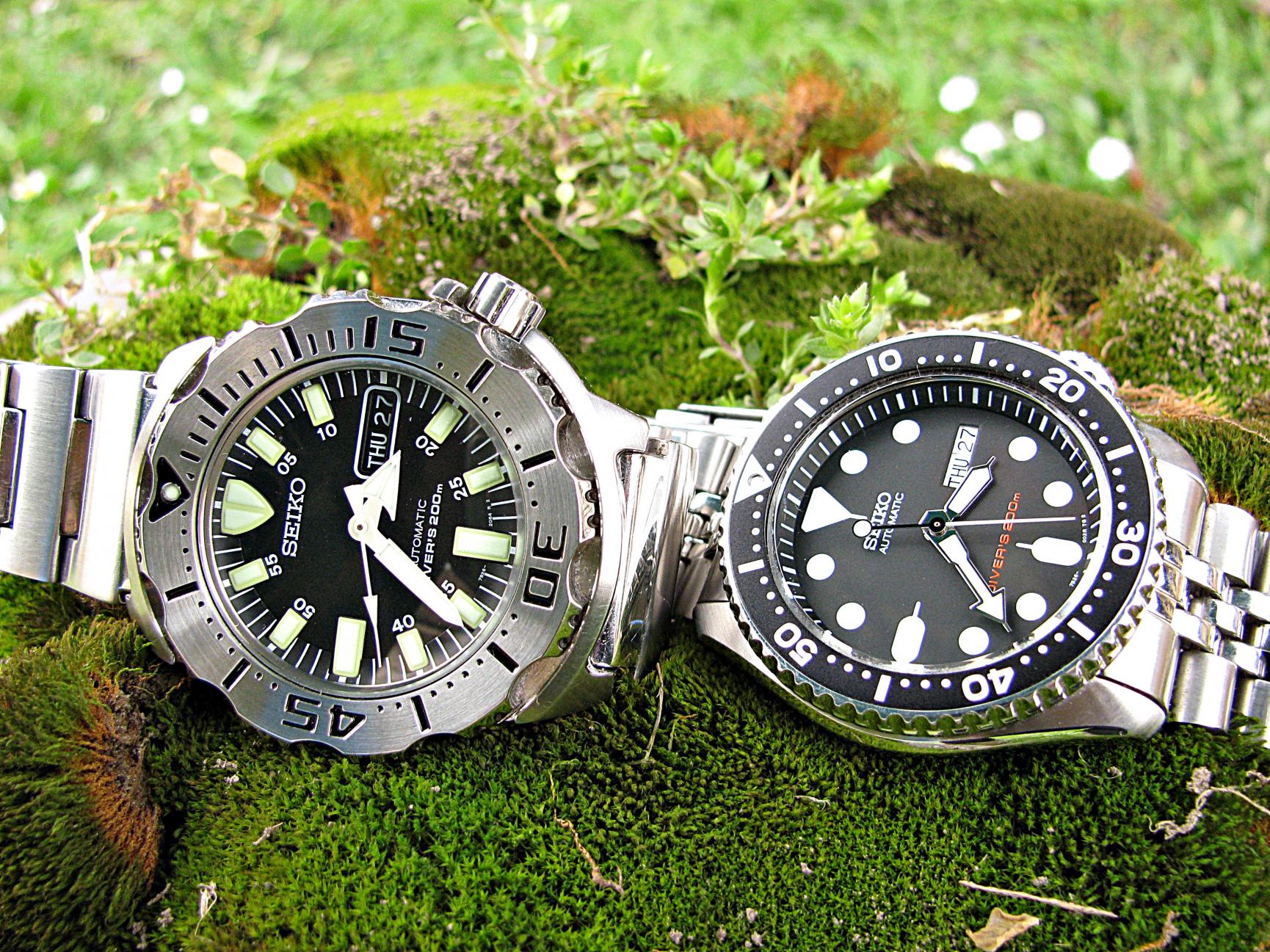 Naziv: IMG_6037 ....jpg, pregleda: 365, veličina: 506,4 KB