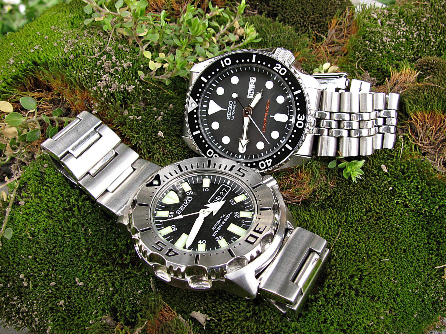 Naziv: IMG_6061 ....jpg, pregleda: 416, veličina: 524,0 KB