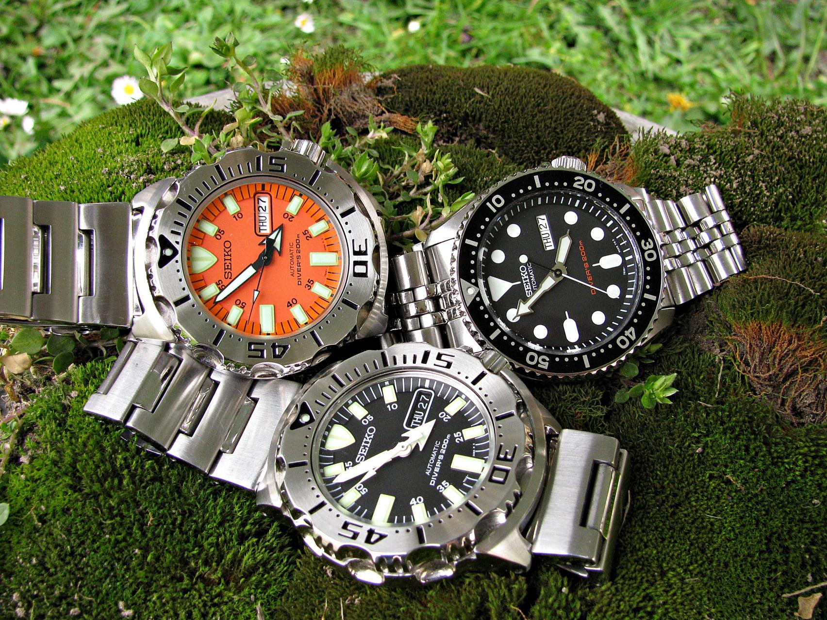 Naziv: IMG_6078 ....jpg, pregleda: 346, veličina: 505,5 KB