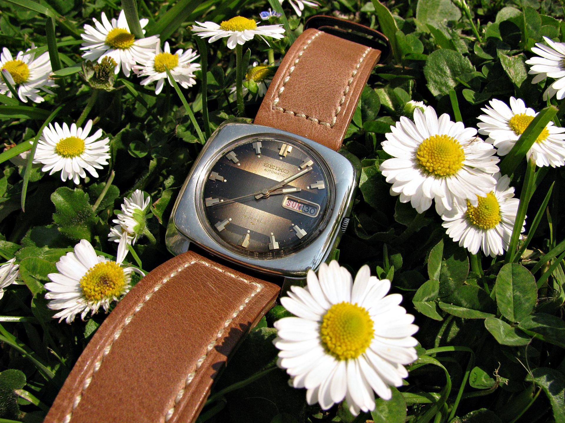 Naziv: IMG_6615 ....jpg, pregleda: 313, veličina: 482,0 KB