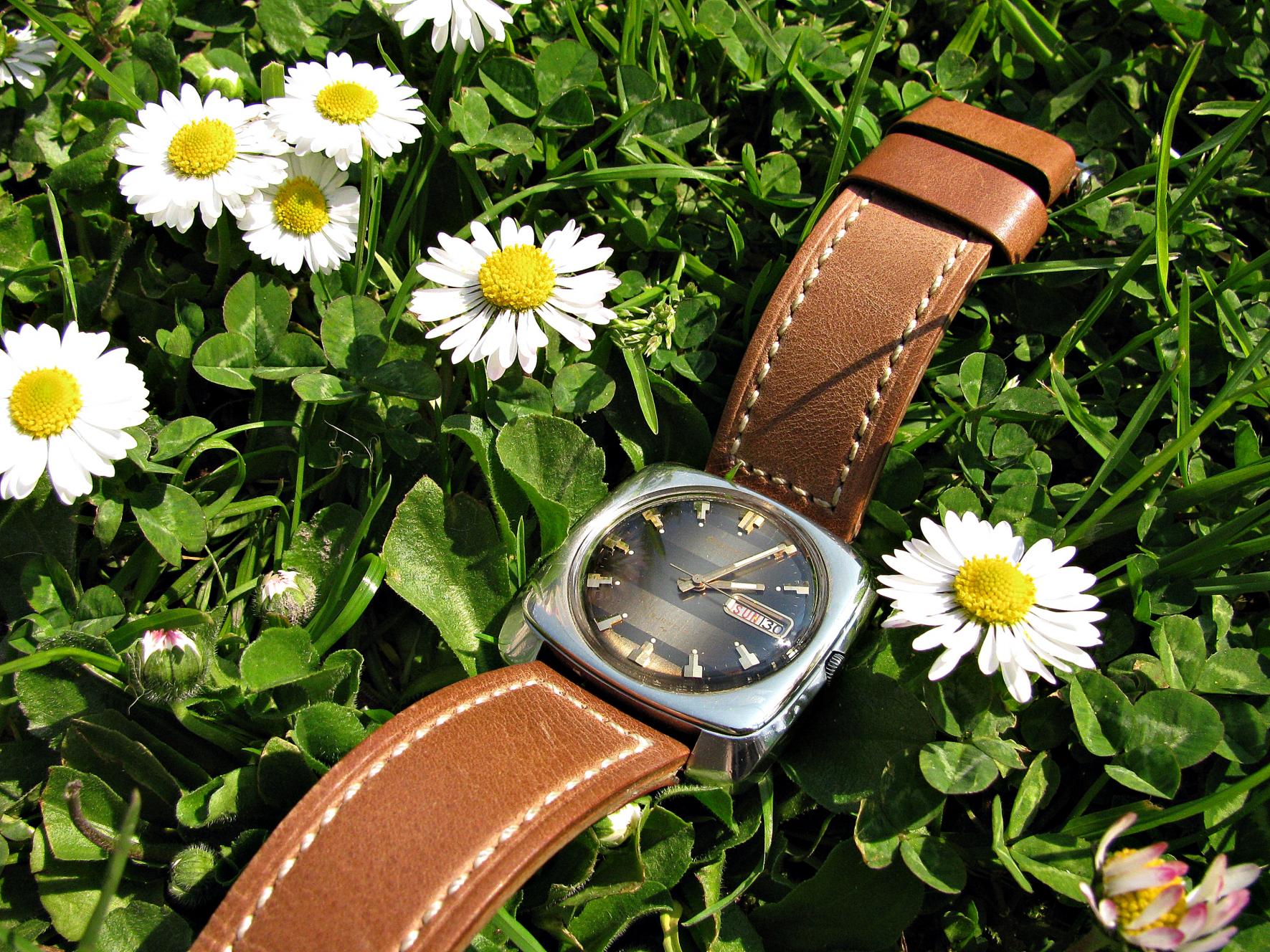 Naziv: IMG_6607 ....jpg, pregleda: 302, veličina: 500,0 KB