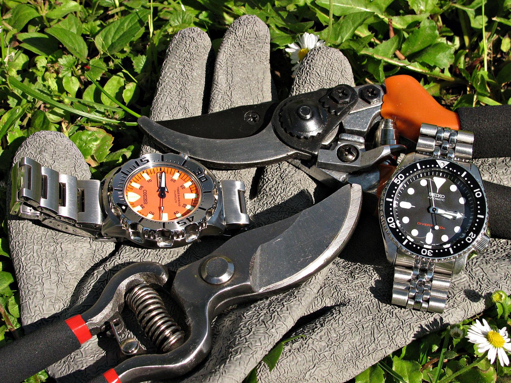 Naziv: IMG_7218 ....jpg, pregleda: 264, veličina: 510,3 KB