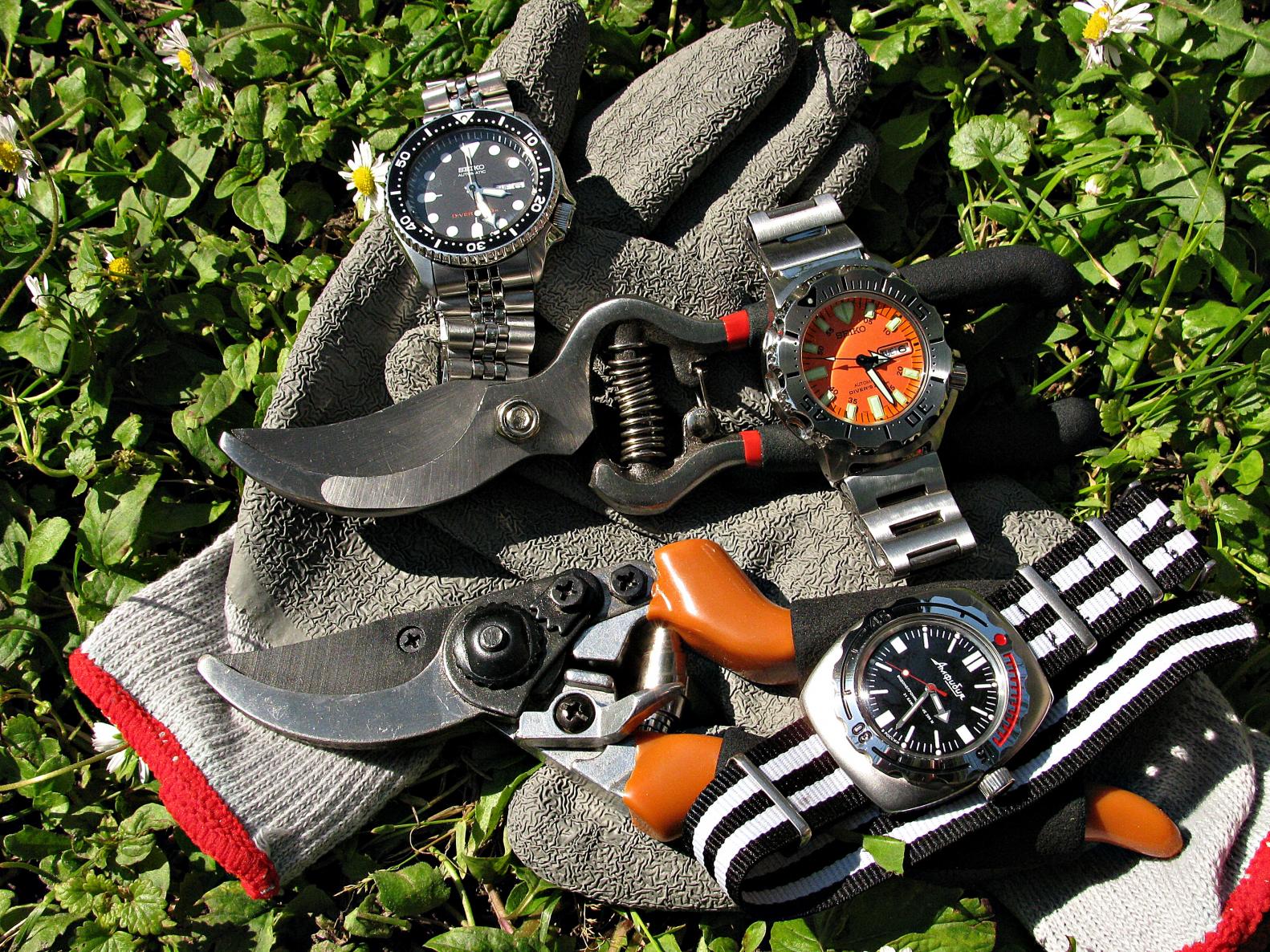 Naziv: IMG_7247 ....jpg, pregleda: 276, veličina: 520,5 KB