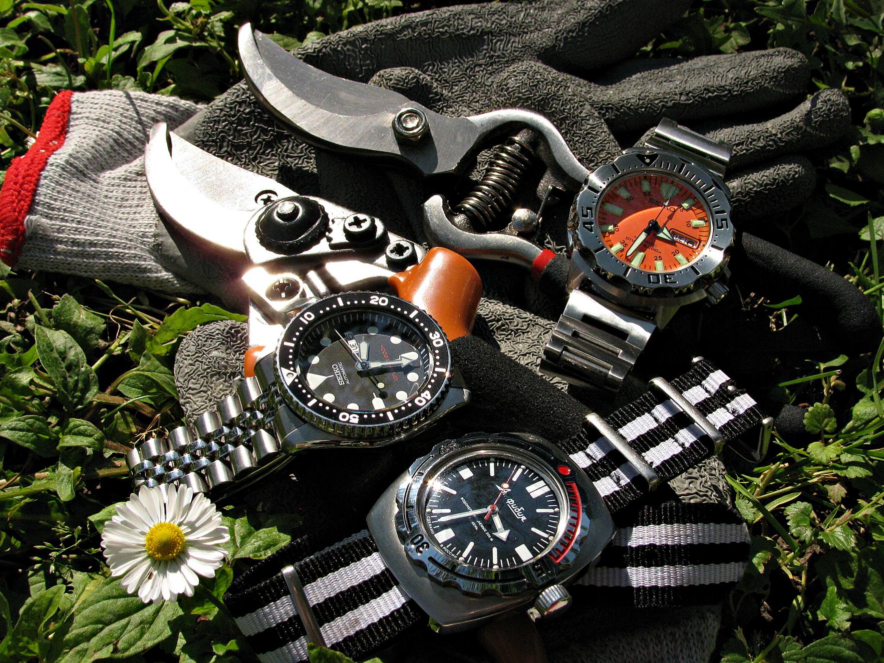 Naziv: IMG_7266 ....jpg, pregleda: 231, veličina: 502,0 KB