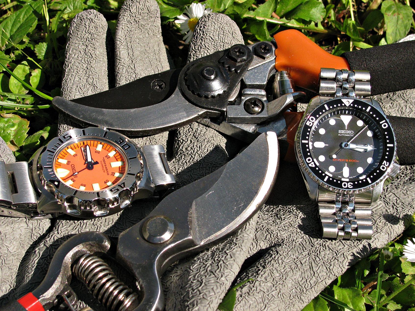 Naziv: IMG_7219 ....jpg, pregleda: 228, veličina: 506,3 KB