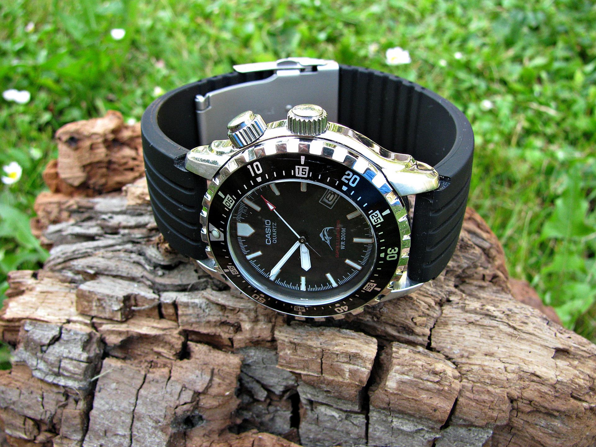 Naziv: IMG_8073 ....jpg, pregleda: 321, veličina: 432,7 KB