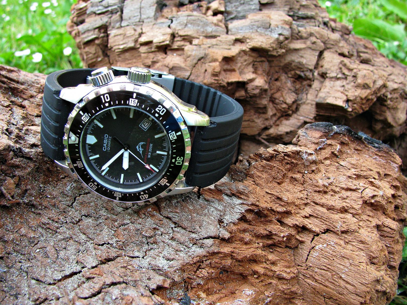 Naziv: IMG_8074 ....jpg, pregleda: 315, veličina: 509,8 KB