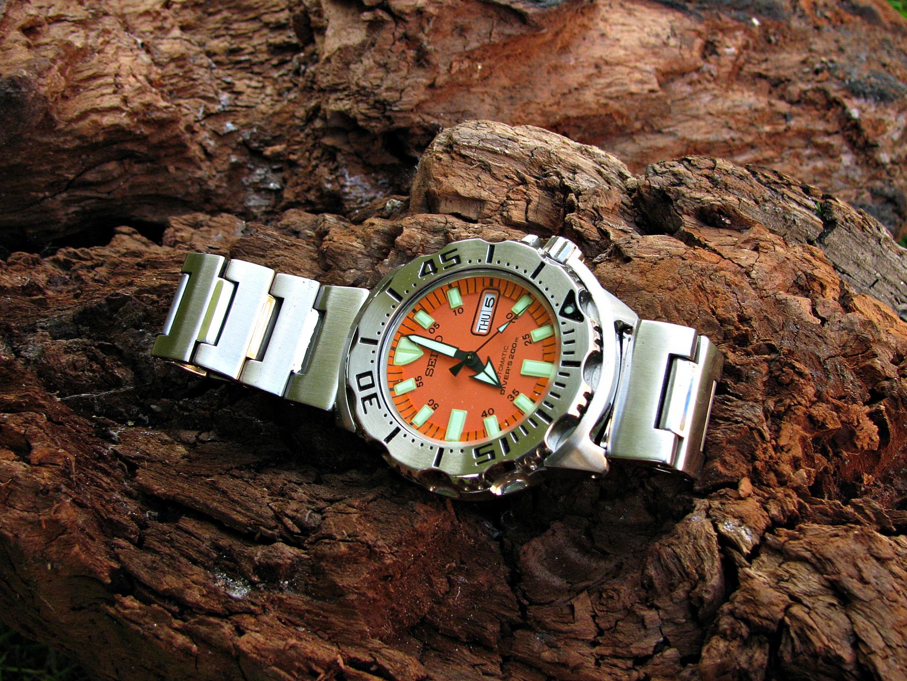 Naziv: IMG_7912 ....jpg, pregleda: 353, veličina: 494,8 KB