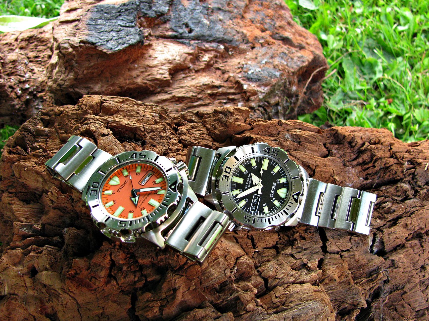 Naziv: IMG_7948 ....jpg, pregleda: 385, veličina: 503,4 KB