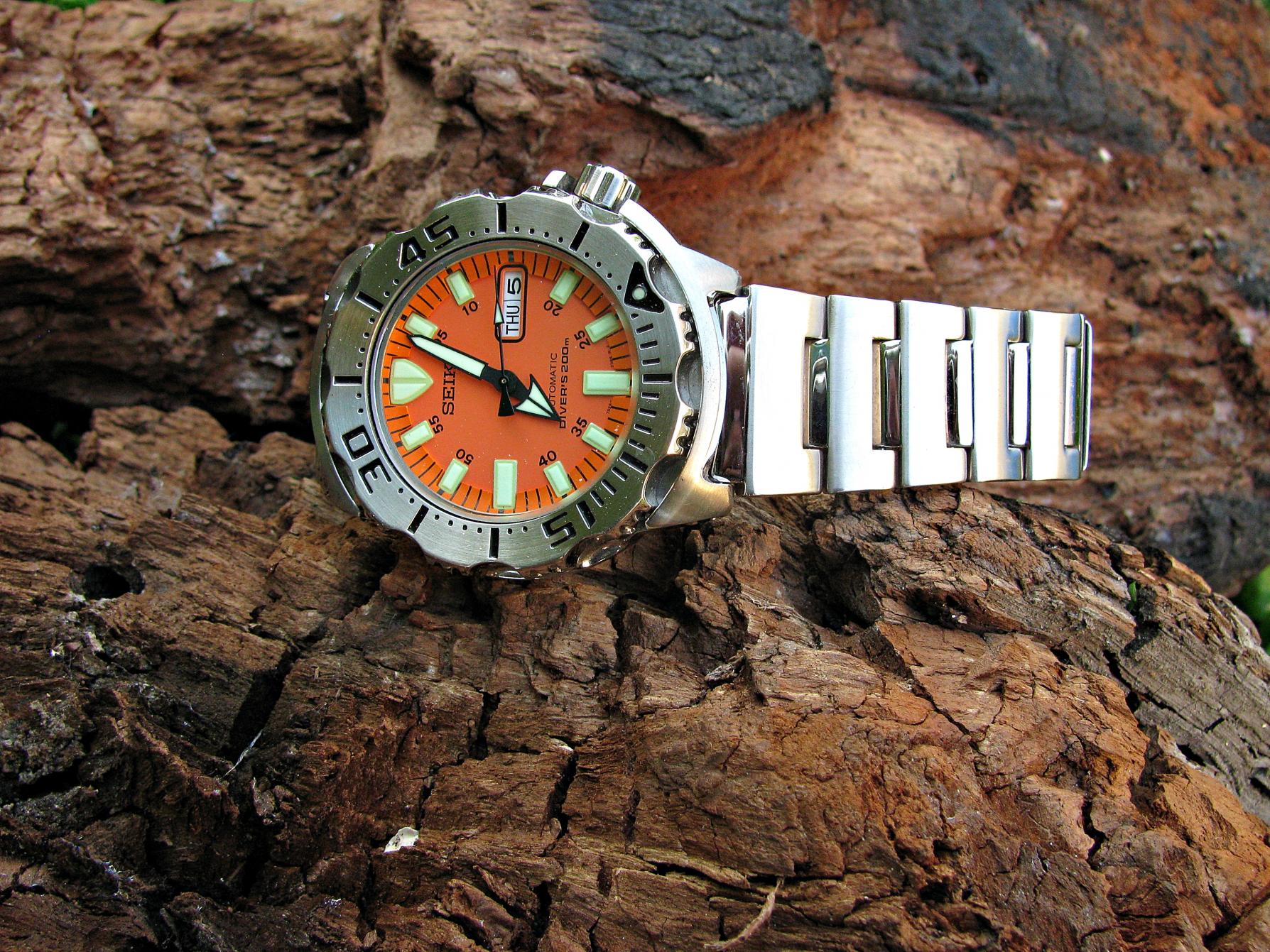 Naziv: IMG_7919 ....jpg, pregleda: 351, veličina: 495,7 KB